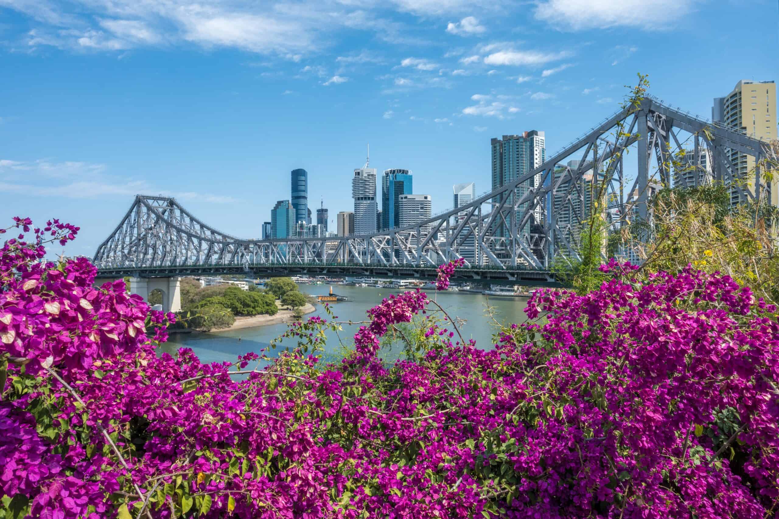 Brisbane,Skyline,Behind,Story,Bridge,And,Pink,Bougainvillea,Flowers.